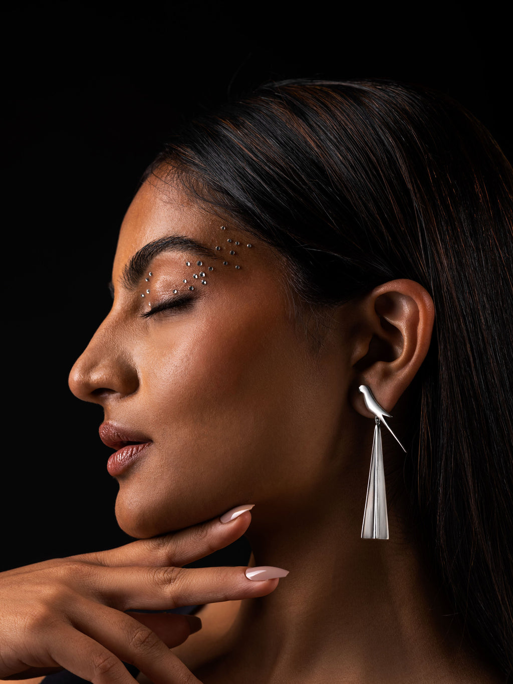 Perched Tota Earrings silver