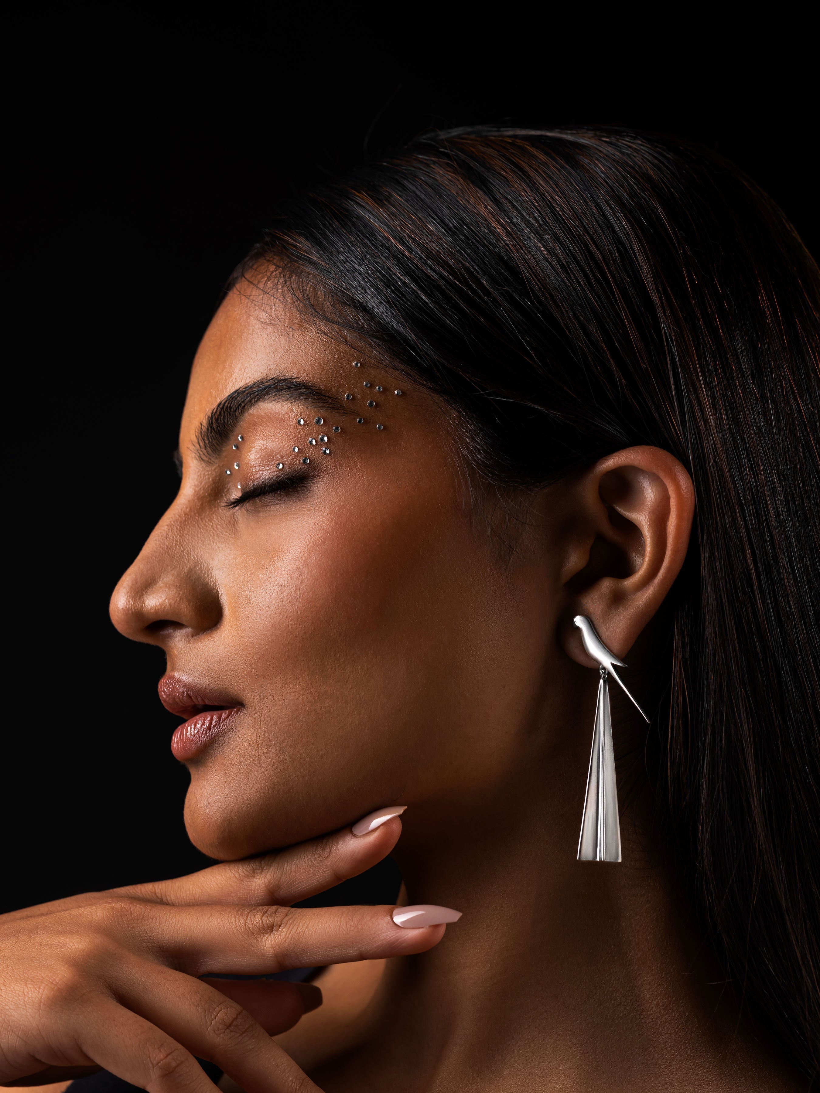 Perched Tota Earrings silver
