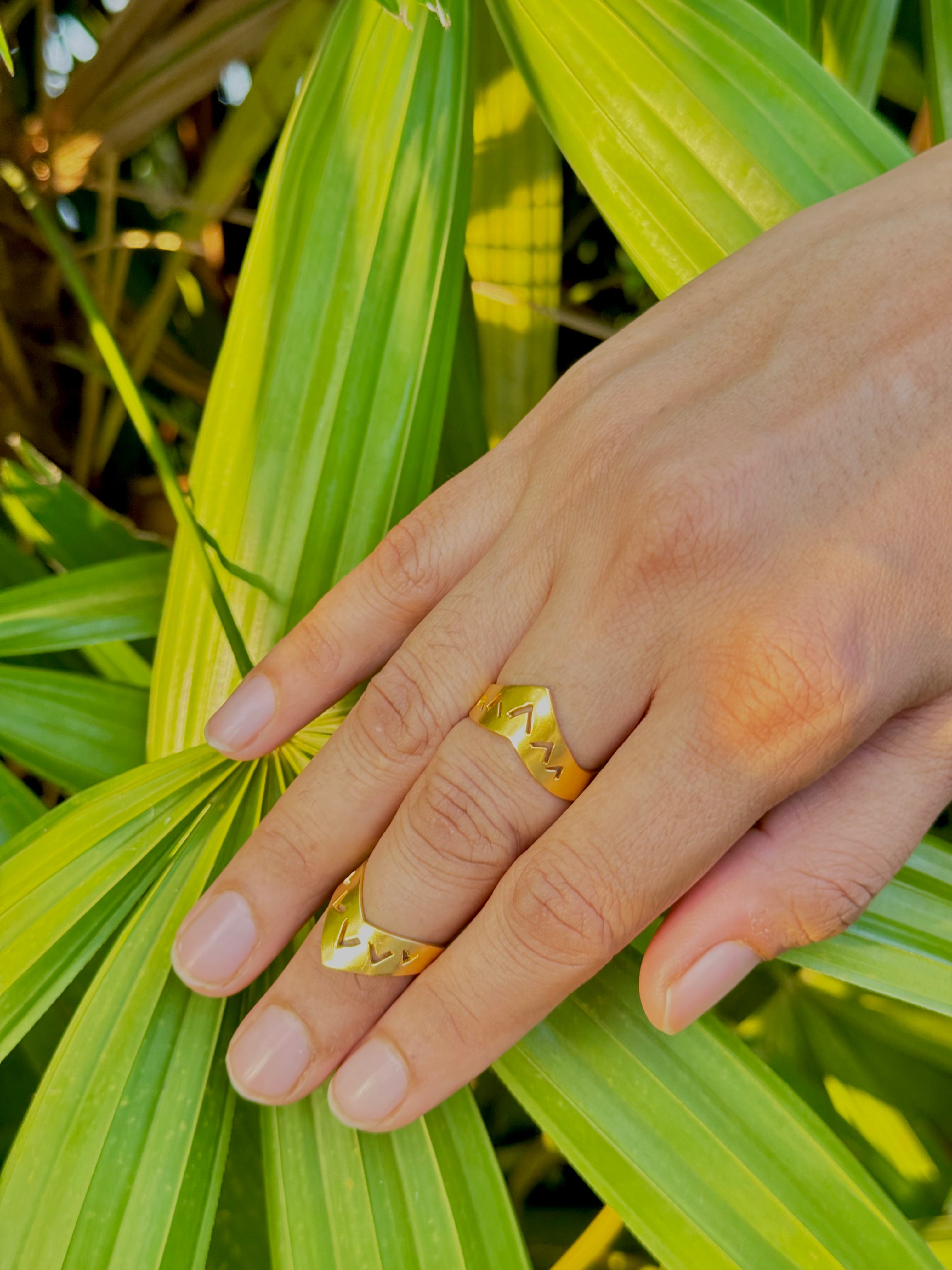 Shaurya Ring